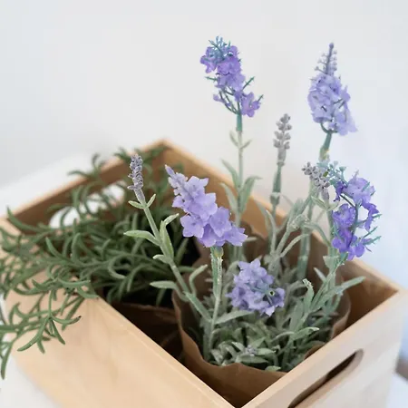 Апартаменты Superior Smaragd Adriatic With Altana Пиран