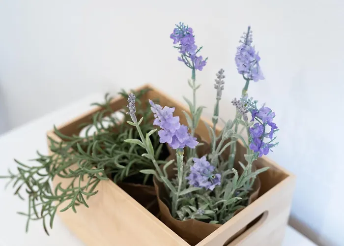 公寓 Superior Smaragd Adriatic With Altana 皮兰